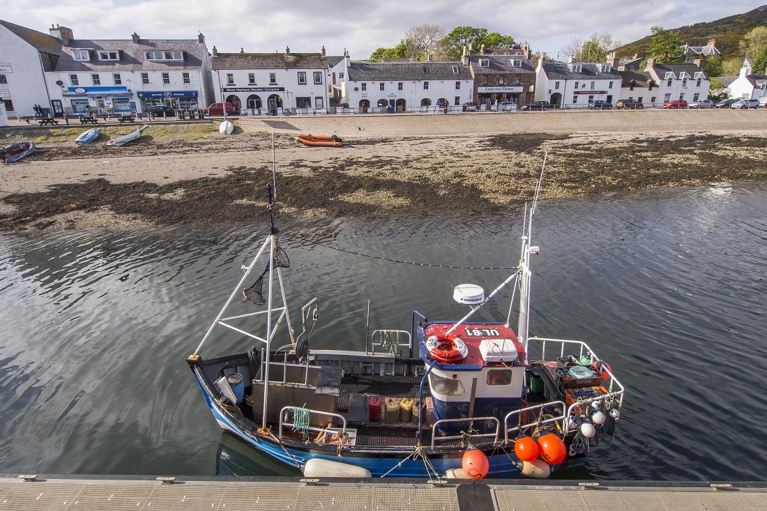 Nazwa:  Y0009340.jpg
Wyświetleń: 378
Rozmiar:  444,9 KB