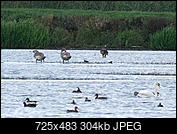 Kliknij obrazek, aby uzyskać większą wersję

Nazwa:	DSCF7859.jpg
Wyświetleń:	61
Rozmiar:	303,9 KB
ID:	182859