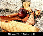 Kliknij obrazek, aby uzyskać większą wersję

Nazwa:	P9290024.JPG
Wyświetleń:	135
Rozmiar:	728,3 KB
ID:	183001