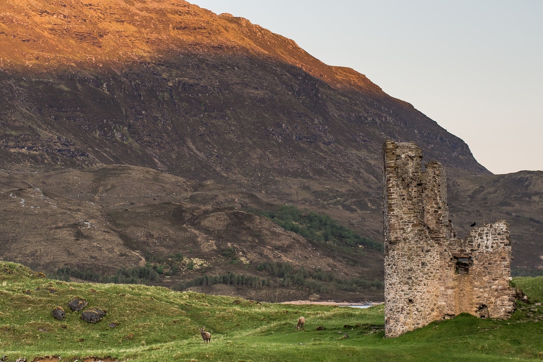 Nazwa:  Y0009559.jpg
Wyświetleń: 168
Rozmiar:  484,7 KB