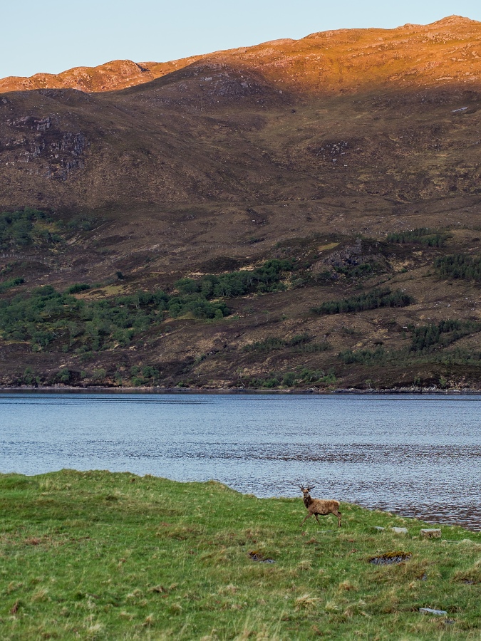 Nazwa:  Y0009566.jpg
Wyświetleń: 172
Rozmiar:  395,8 KB