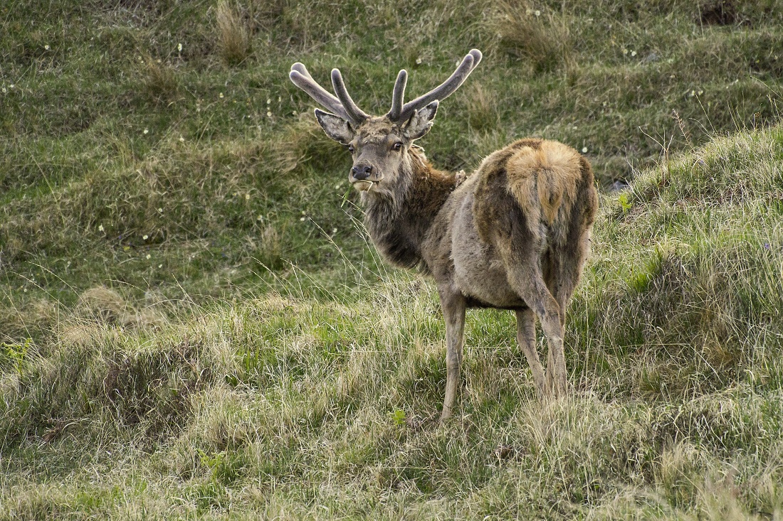Nazwa:  Y0009666.jpg
Wyświetleń: 173
Rozmiar:  604,0 KB