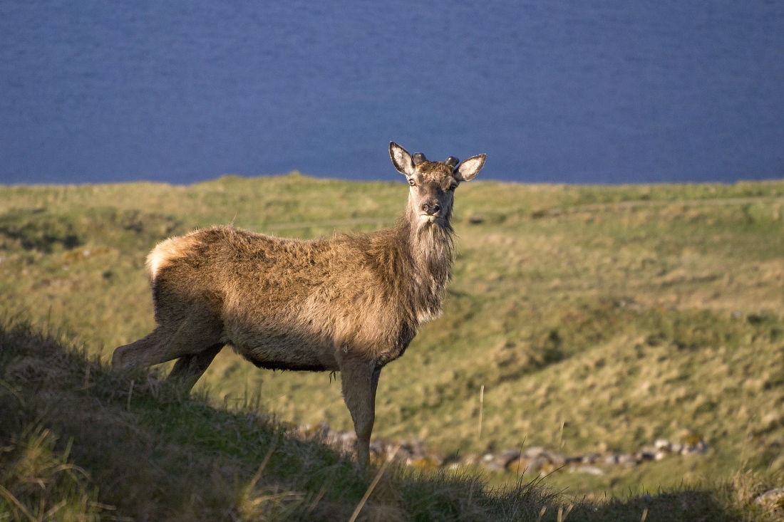 Nazwa:  Y0009719.jpg
Wyświetleń: 167
Rozmiar:  392,6 KB