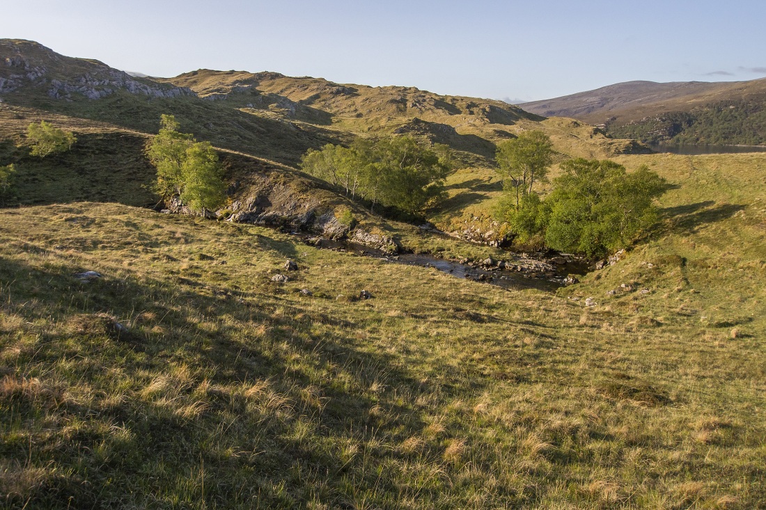 Nazwa:  Y0009808.jpg
Wyświetleń: 136
Rozmiar:  458,6 KB