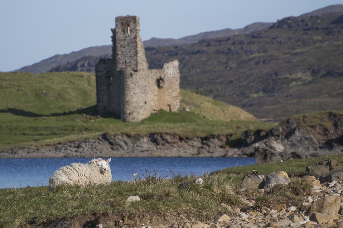 Nazwa:  Y0009839.jpg
Wyświetleń: 151
Rozmiar:  341,4 KB