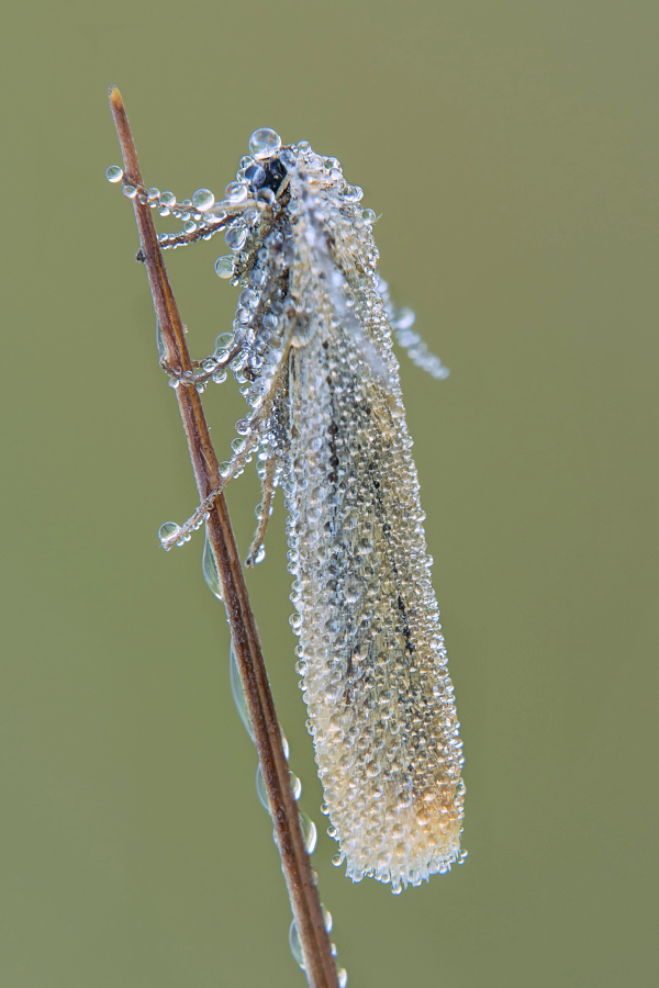 Nazwa:  2016-08-15_001.jpg
Wyświetleń: 250
Rozmiar:  293,2 KB