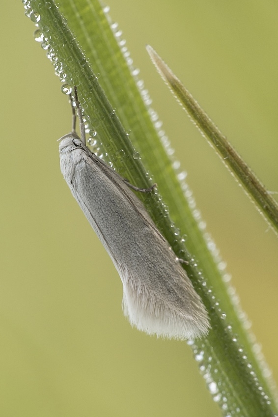 Nazwa:  Y0007917.jpg
Wyświetleń: 257
Rozmiar:  257,5 KB