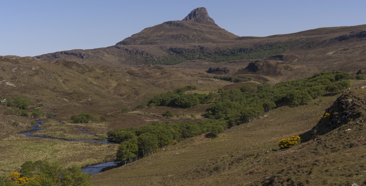 Nazwa:  Y0009913_stitch.jpg
Wyświetleń: 189
Rozmiar:  372,4 KB