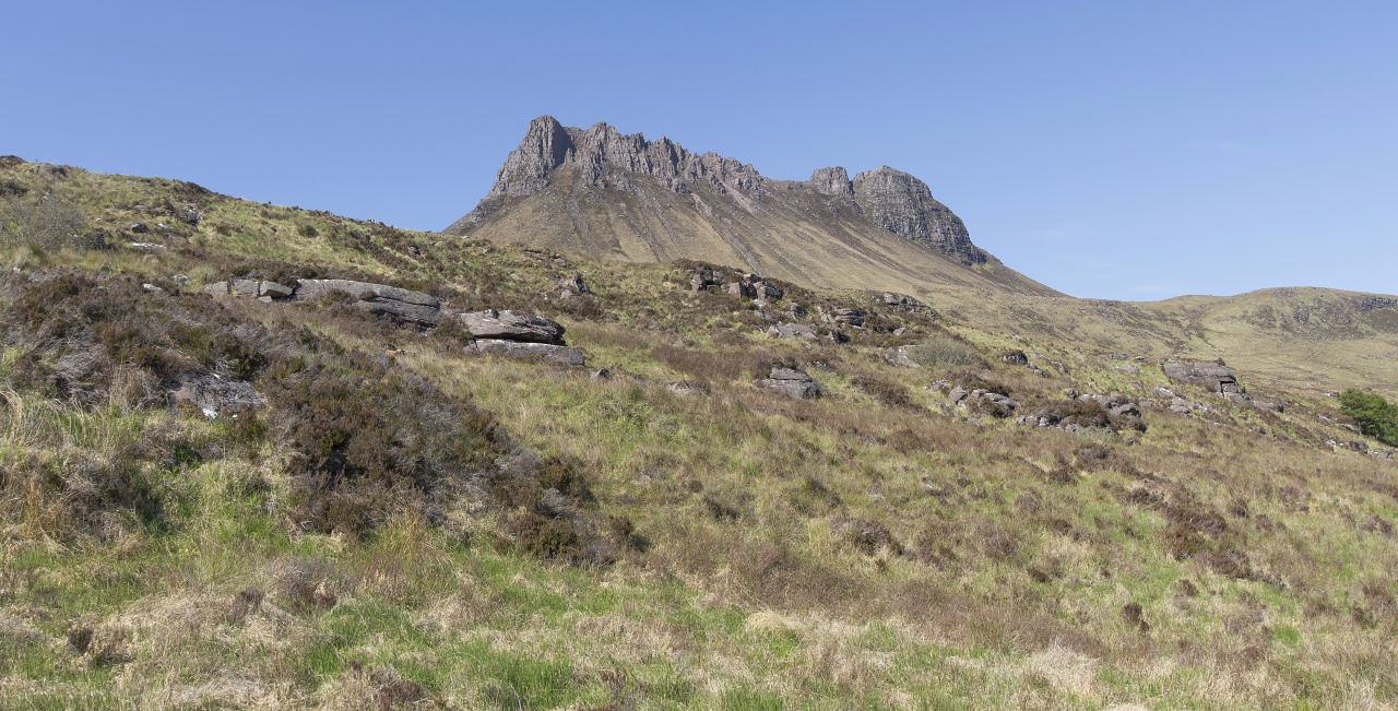 Nazwa:  Y0009920_stitch.jpg
Wyświetleń: 192
Rozmiar:  414,3 KB