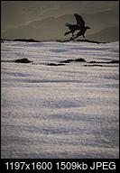 Kliknij obrazek, aby uzyskać większą wersję

Nazwa:	PA150573 (Kopiowanie).jpg
Wyświetleń:	121
Rozmiar:	1,47 MB
ID:	183528