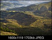 Kliknij obrazek, aby uzyskać większą wersję

Nazwa:	PA150621 (Kopiowanie).jpg
Wyświetleń:	124
Rozmiar:	1,66 MB
ID:	183529