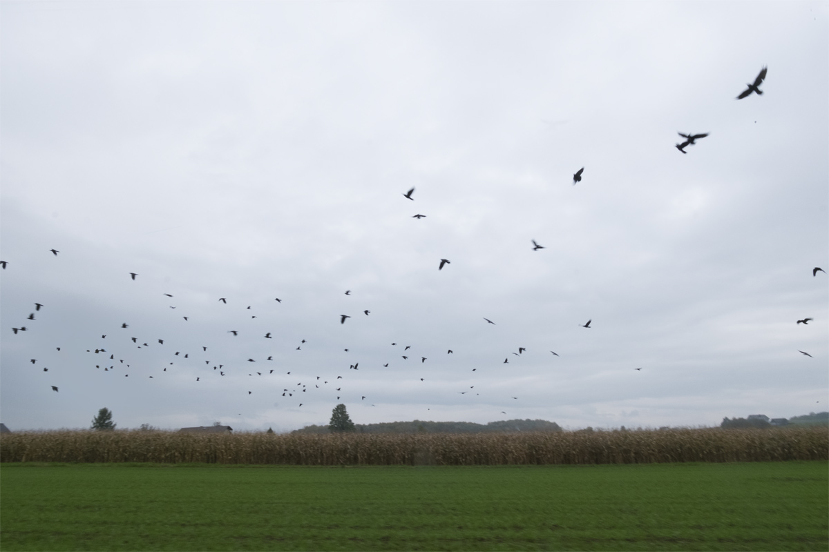 Nazwa:  APZ1.jpg
Wyświetleń: 128
Rozmiar:  174,3 KB