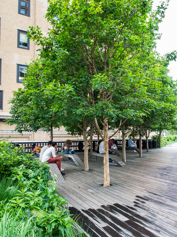 Nazwa:  HighLine-7.JPG
Wyświetleń: 103
Rozmiar:  851,0 KB