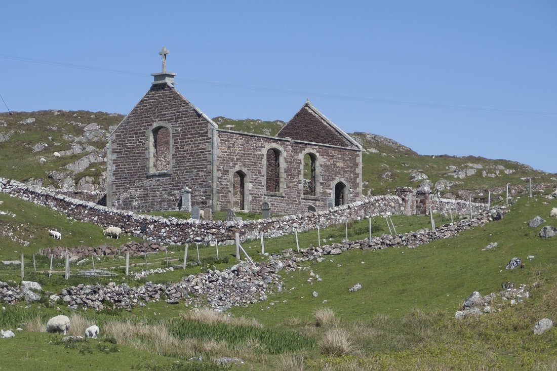 Nazwa:  P5260204.jpg
Wyświetleń: 139
Rozmiar:  347,6 KB