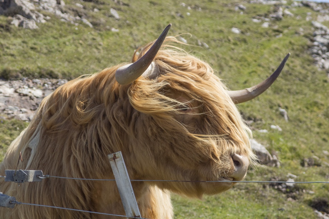 Nazwa:  P5260200.jpg
Wyświetleń: 129
Rozmiar:  301,7 KB