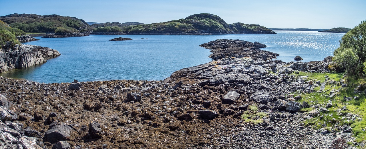 Nazwa:  P5260208_stitch.jpg
Wyświetleń: 213
Rozmiar:  474,2 KB