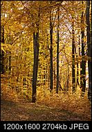 Kliknij obrazek, aby uzyskać większą wersję

Nazwa:	PA230483.jpg
Wyświetleń:	116
Rozmiar:	2,64 MB
ID:	184418