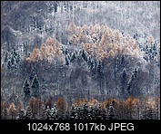 Kliknij obrazek, aby uzyskać większą wersję

Nazwa:	_B113309.jpg
Wyświetleń:	651
Rozmiar:	1.016,8 KB
ID:	185253