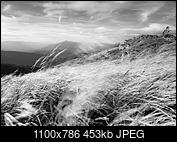 Kliknij obrazek, aby uzyskać większą wersję

Nazwa:	_9292908b.jpg
Wyświetleń:	120
Rozmiar:	452,8 KB
ID:	185902