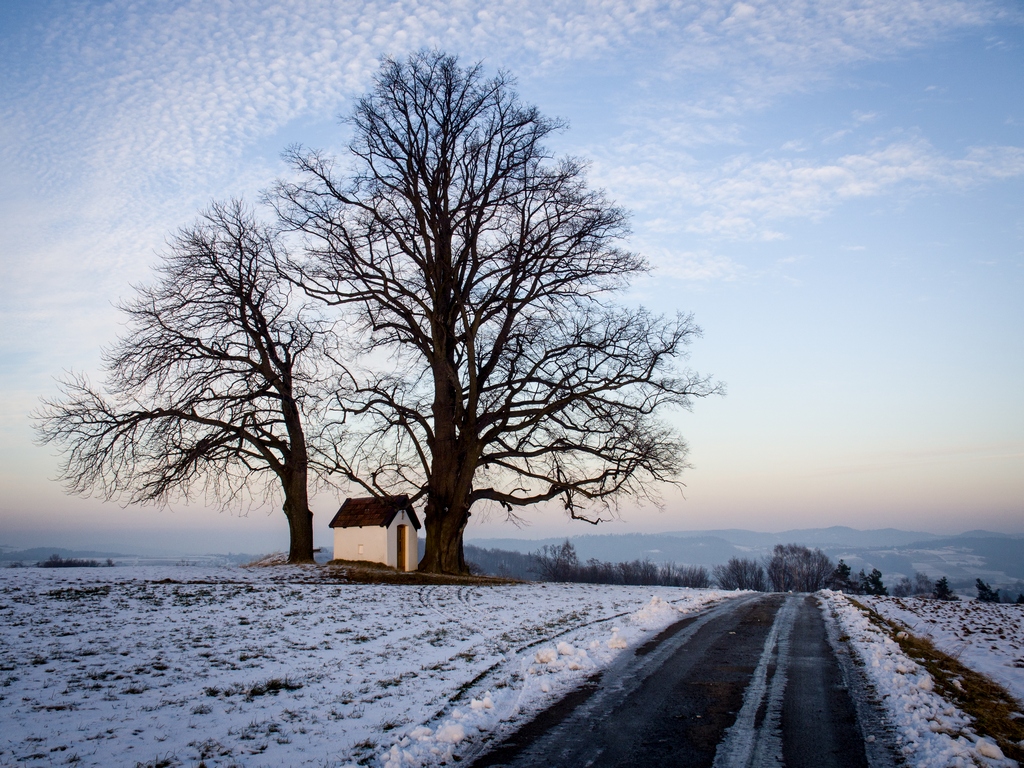 Nazwa:  PC170113.jpg
Wyświetleń: 322
Rozmiar:  530,5 KB