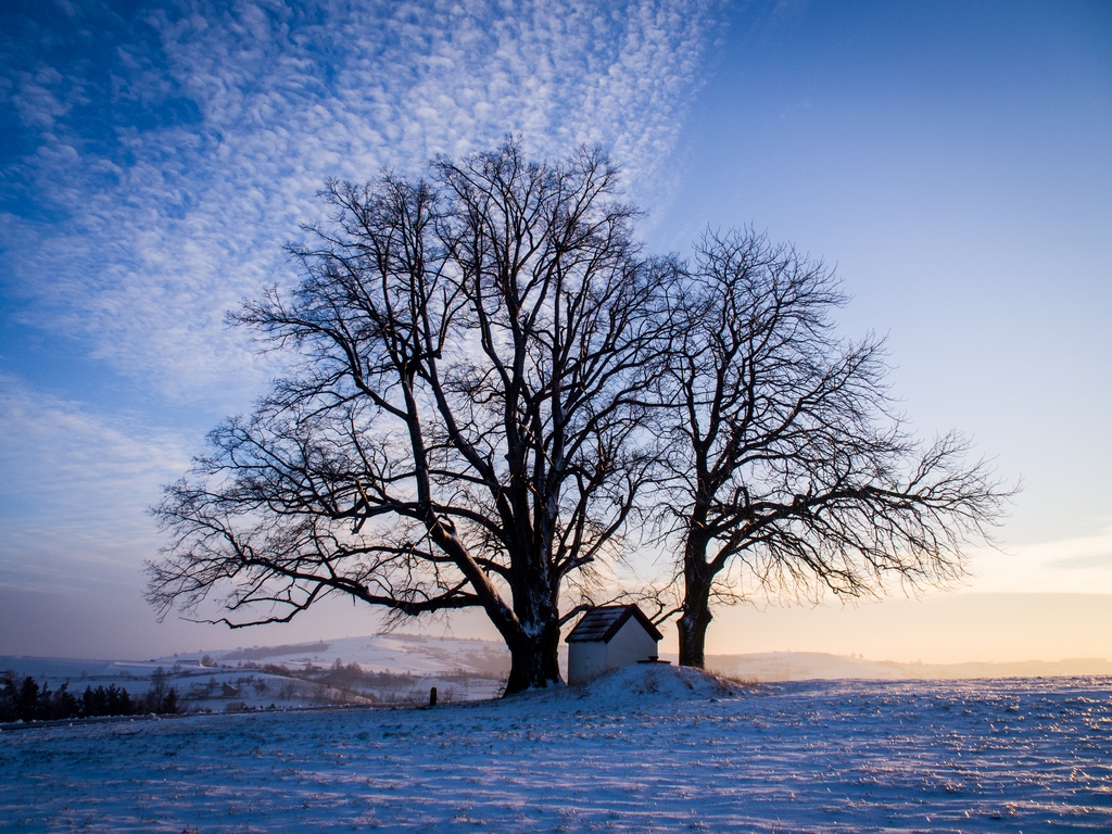 Nazwa:  PC170143.jpg
Wyświetleń: 271
Rozmiar:  561,8 KB