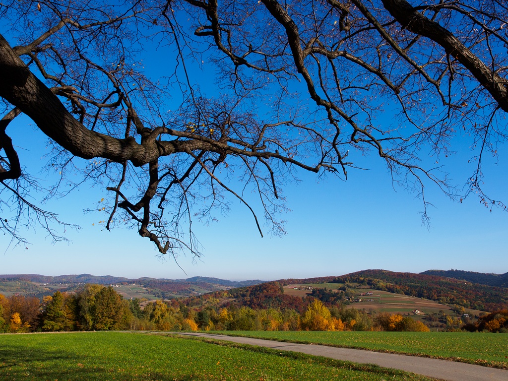 Nazwa:  PA270198.jpg
Wyświetleń: 280
Rozmiar:  509,4 KB