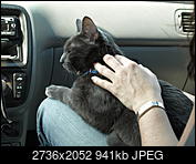 Kliknij obrazek, aby uzyskać większą wersję

Nazwa:	molka śpi.jpg
Wyświetleń:	79
Rozmiar:	940,7 KB
ID:	186489