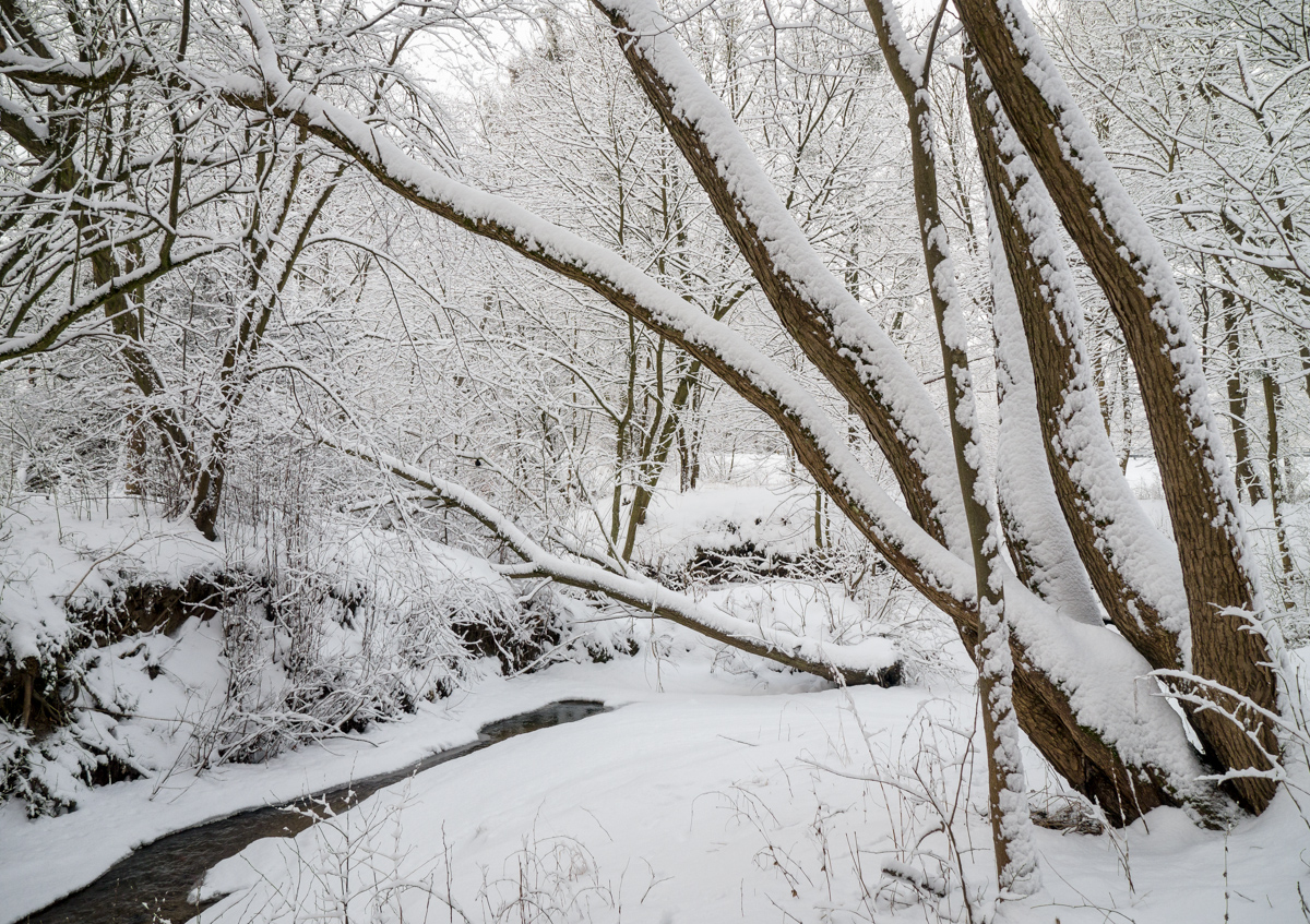 Nazwa:  P1100710.jpg
Wyświetleń: 190
Rozmiar:  885,9 KB