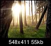 Kliknij obrazek, aby uzyskać większą wersję

Nazwa:	dzrzewa.JPG
Wyświetleń:	221
Rozmiar:	55,2 KB
ID:	18688