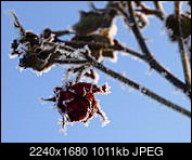 Kliknij obrazek, aby uzyskać większą wersję

Nazwa:	_1236199.jpg
Wyświetleń:	52
Rozmiar:	1.011,3 KB
ID:	186905