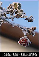 Kliknij obrazek, aby uzyskać większą wersję

Nazwa:	_1236202 (3).jpg
Wyświetleń:	59
Rozmiar:	482,7 KB
ID:	186909