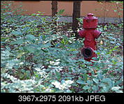 Kliknij obrazek, aby uzyskać większą wersję

Nazwa:	P9100210.jpg
Wyświetleń:	83
Rozmiar:	2,04 MB
ID:	187019