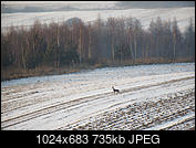 Kliknij obrazek, aby uzyskać większą wersję

Nazwa:	_1293597.jpg
Wyświetleń:	50
Rozmiar:	734,8 KB
ID:	187134