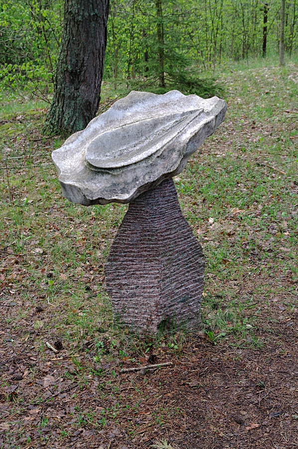 Nazwa:  K2001222.JPG
Wyświetleń: 133
Rozmiar:  596,1 KB