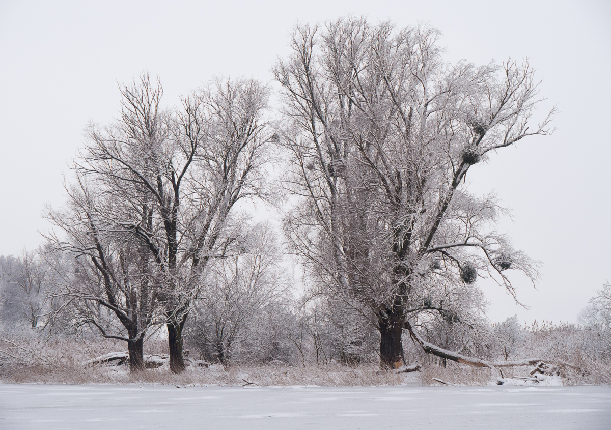 Nazwa:  P1110023.jpg
Wyświetleń: 133
Rozmiar:  718,6 KB