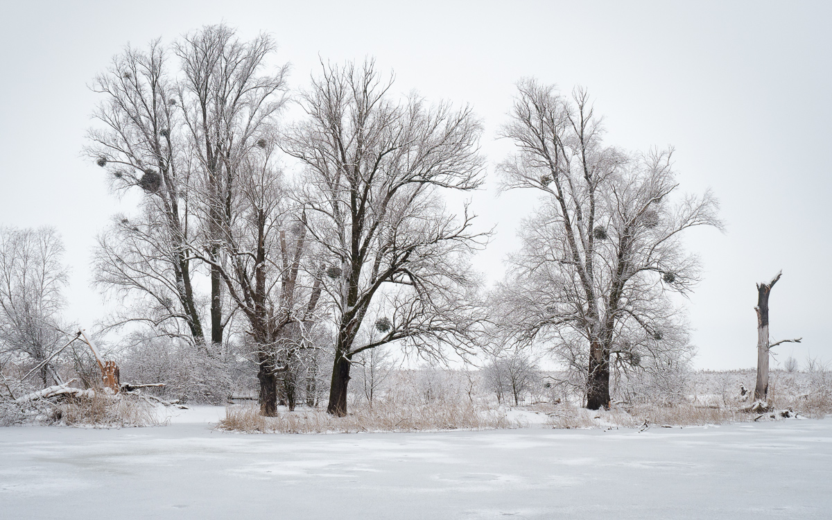 Nazwa:  P1110009.jpg
Wyświetleń: 134
Rozmiar:  588,5 KB