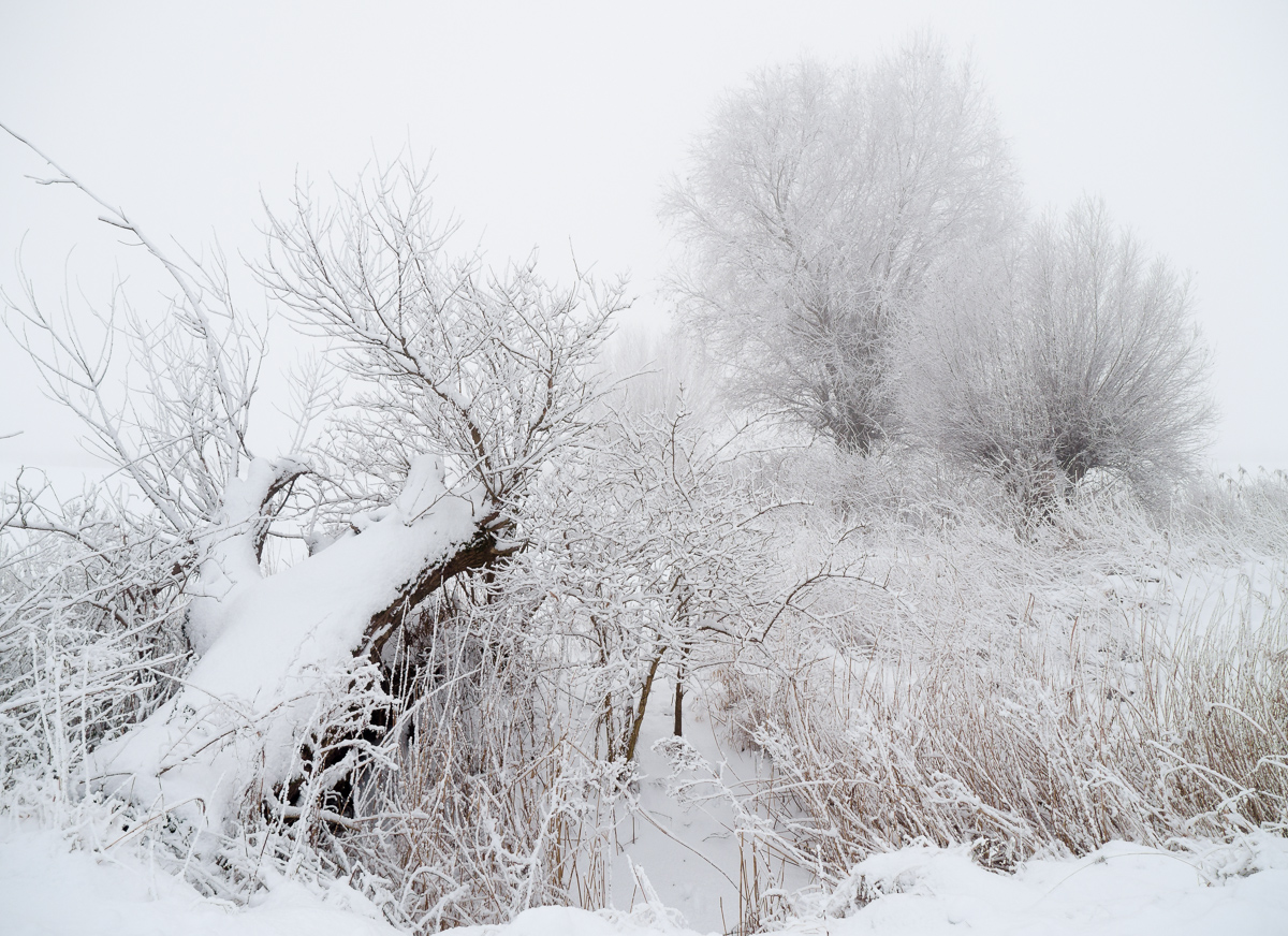 Nazwa:  P1100883.jpg
Wyświetleń: 139
Rozmiar:  656,2 KB