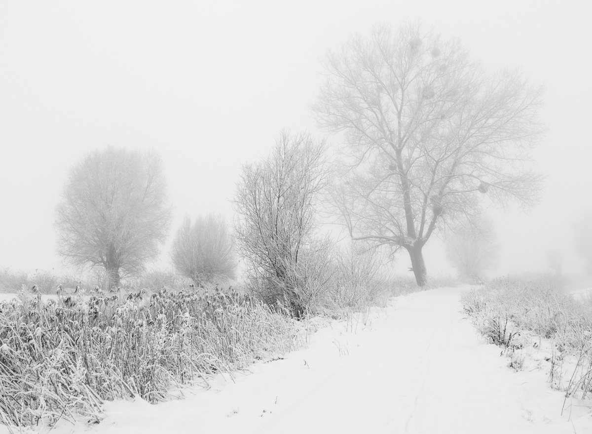 Nazwa:  P1100875.jpg
Wyświetleń: 137
Rozmiar:  420,5 KB