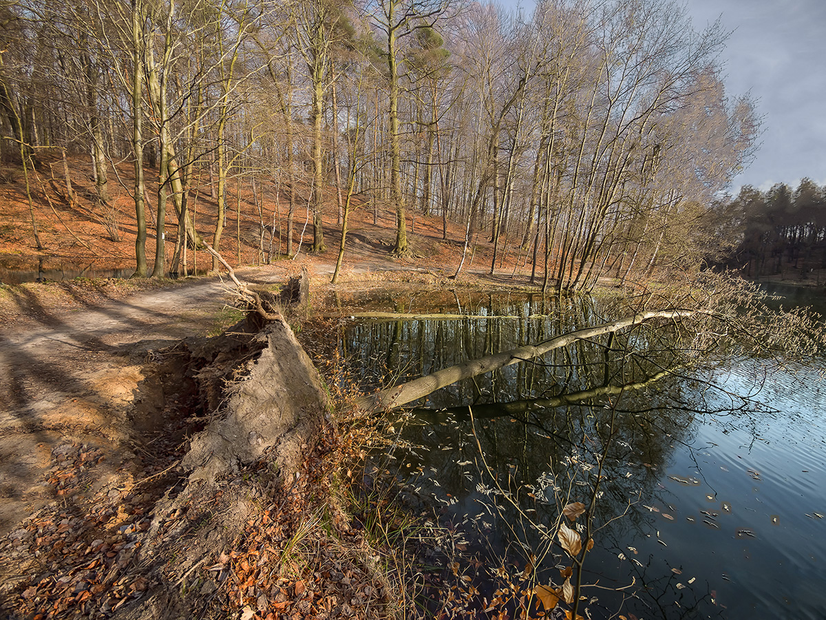 Nazwa:  02.jpg
Wyświetleń: 365
Rozmiar:  926,1 KB