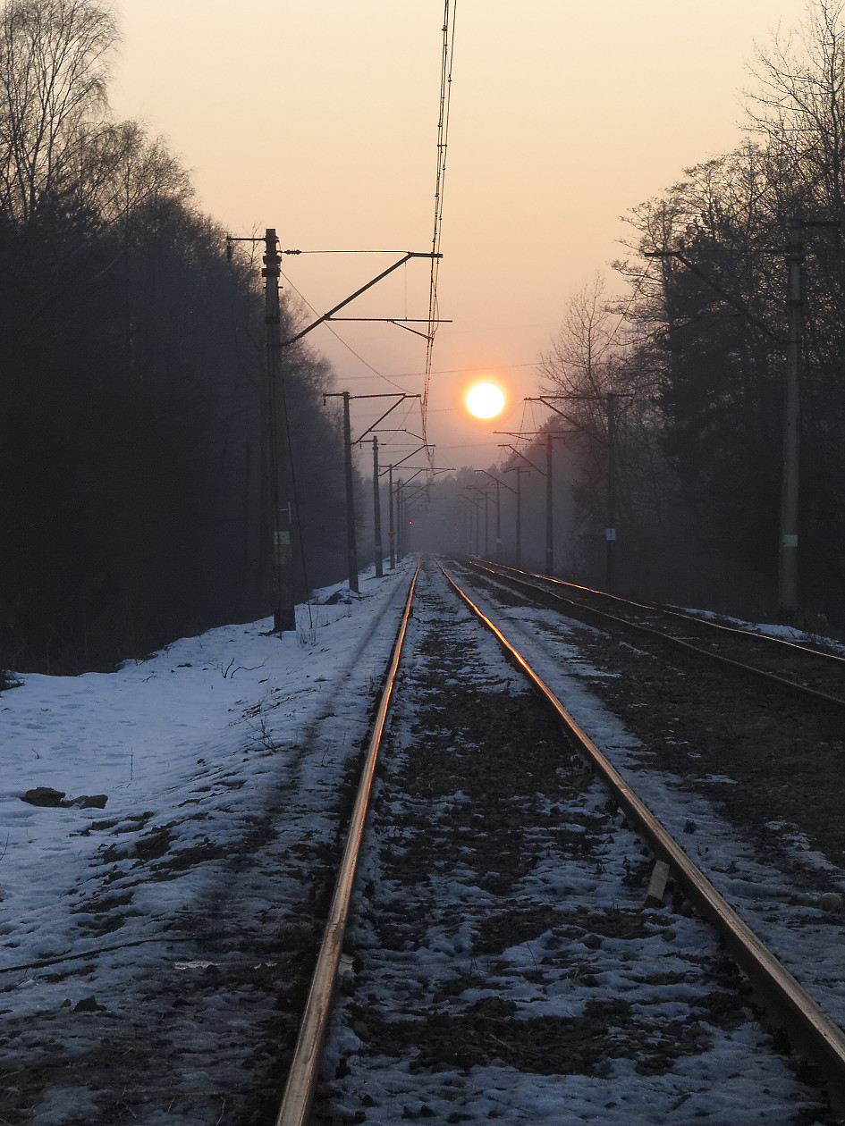 Nazwa:  _2147686_DxO.jpg
Wyświetleń: 129
Rozmiar:  388,0 KB