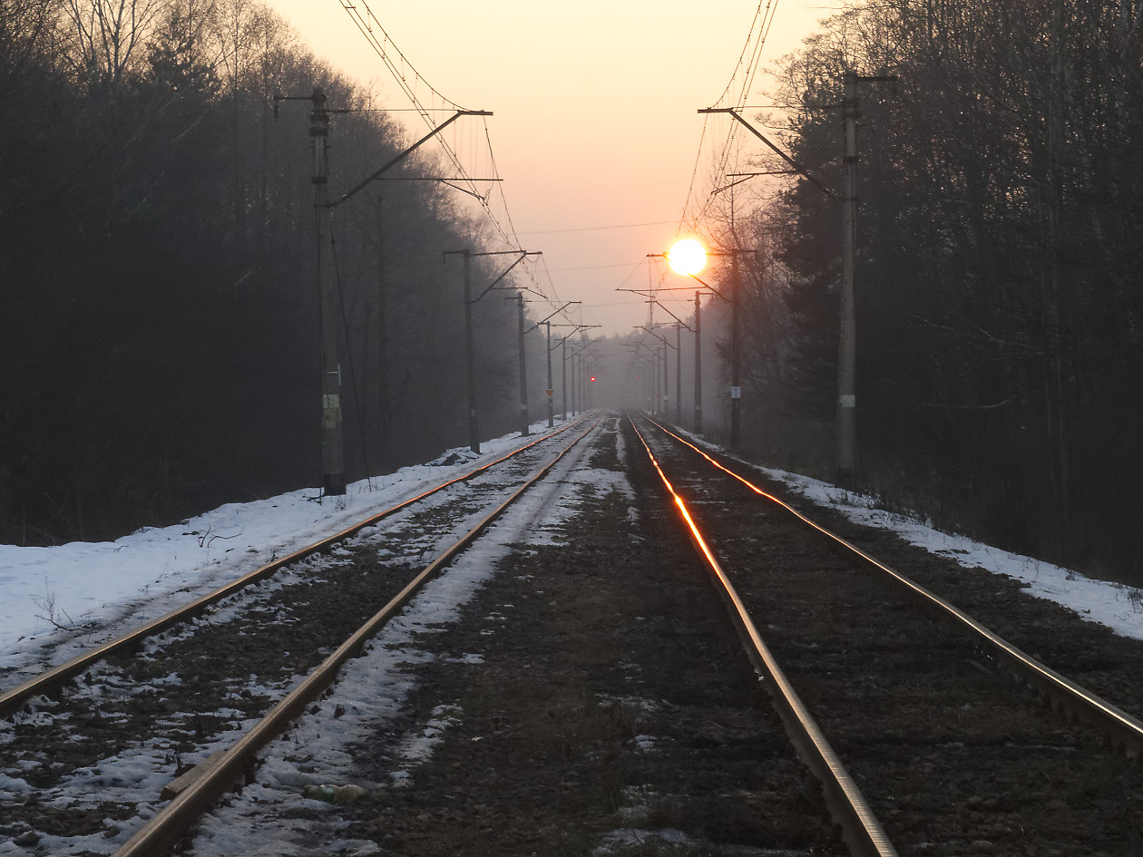 Nazwa:  _2147690_DxO.jpg
Wyświetleń: 138
Rozmiar:  357,4 KB