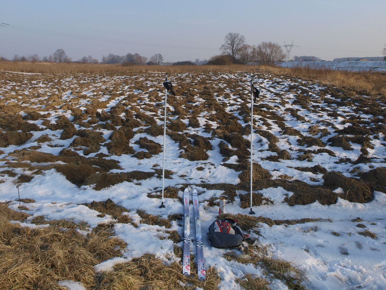 Nazwa:  koniec.jpg
Wyświetleń: 133
Rozmiar:  461,3 KB