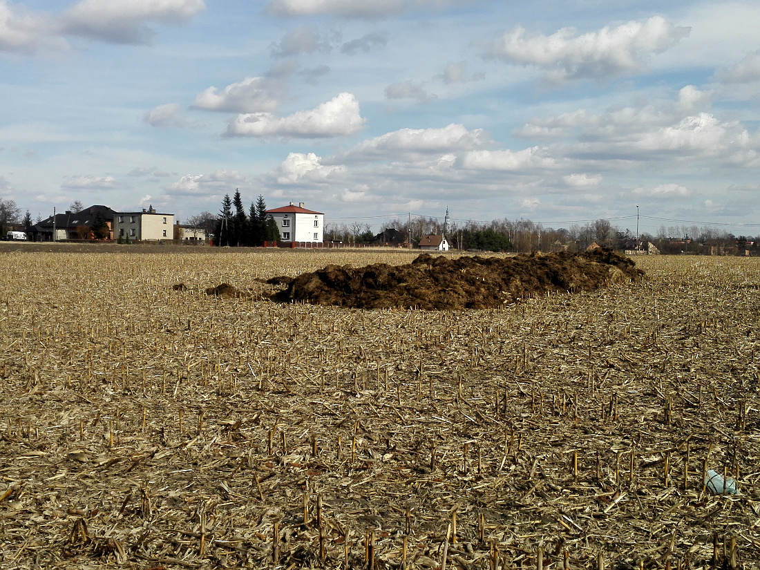 Nazwa:  IMG_20170305_130159.jpg
Wyświetleń: 198
Rozmiar:  658,0 KB