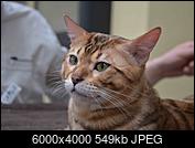 Kliknij obrazek, aby uzyskać większą wersję

Nazwa:	DSC_4270_2.jpg
Wyświetleń:	62
Rozmiar:	549,0 KB
ID:	188828