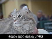 Kliknij obrazek, aby uzyskać większą wersję

Nazwa:	DSC_4278_2.jpg
Wyświetleń:	73
Rozmiar:	606,1 KB
ID:	188829