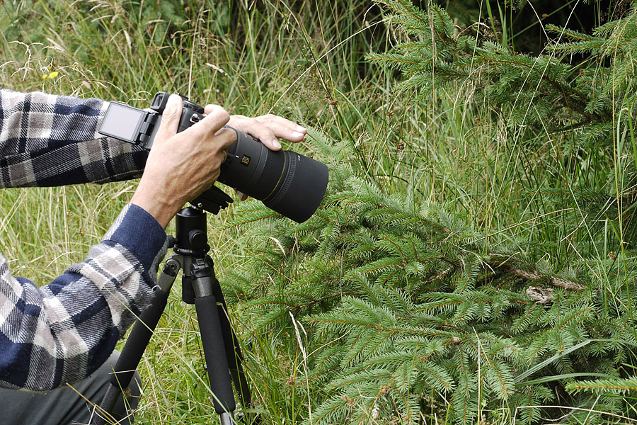 Nazwa:  Jak_3.jpg
Wyświetleń: 240
Rozmiar:  393,7 KB