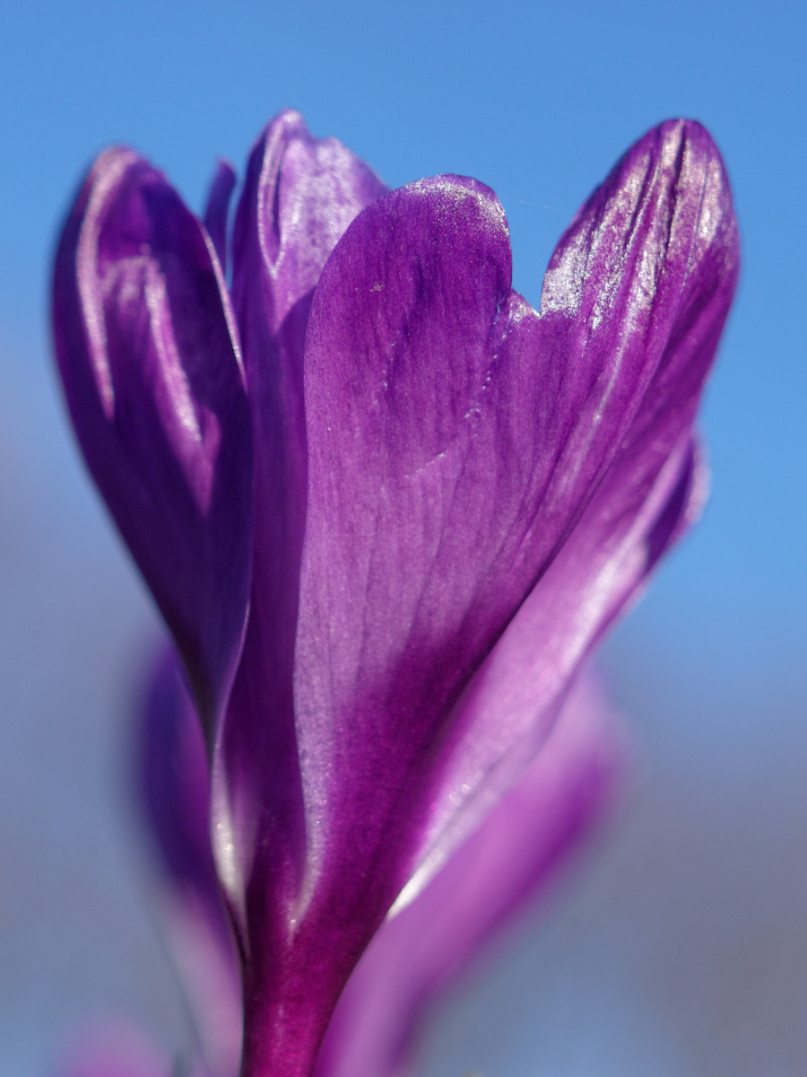 Nazwa:  DC163808_DxO.jpg
Wyświetleń: 121
Rozmiar:  895,5 KB