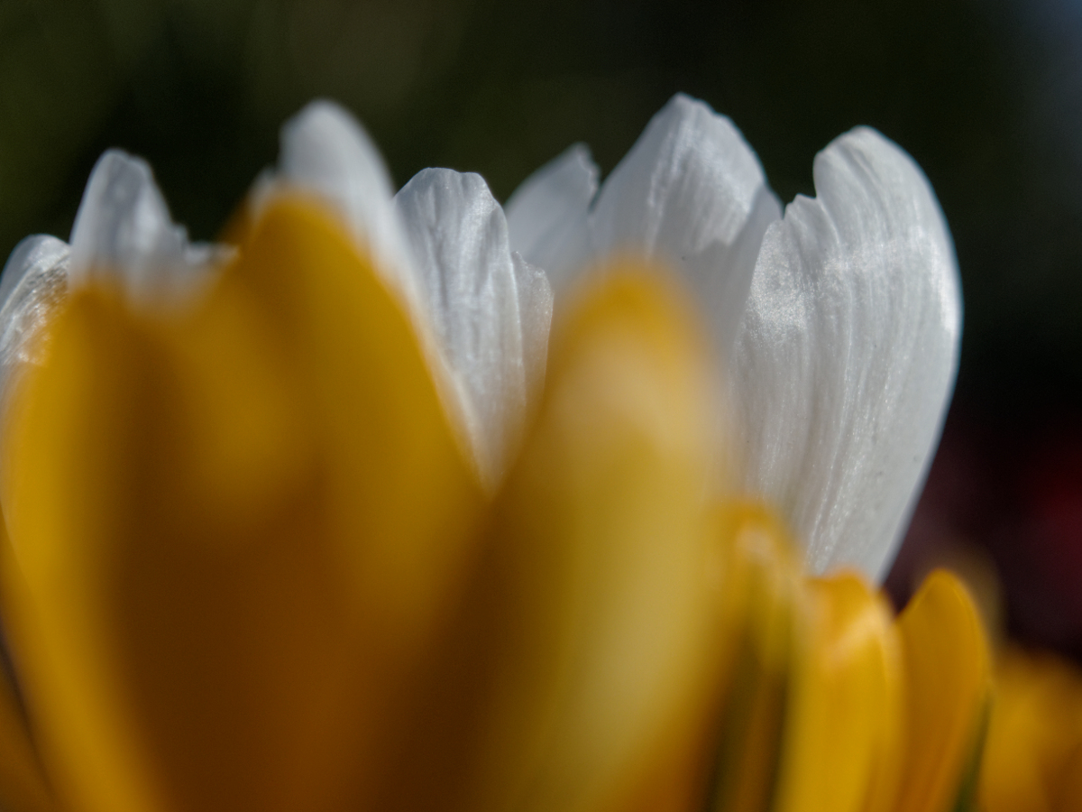 Nazwa:  DC163803_DxO.jpg
Wyświetleń: 125
Rozmiar:  623,7 KB