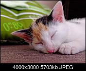 Kliknij obrazek, aby uzyskać większą wersję

Nazwa:	DSCF7703.JPG
Wyświetleń:	58
Rozmiar:	5,57 MB
ID:	189298