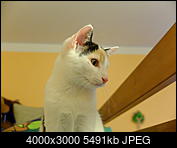 Kliknij obrazek, aby uzyskać większą wersję

Nazwa:	DSCF8090.JPG
Wyświetleń:	47
Rozmiar:	5,36 MB
ID:	189299